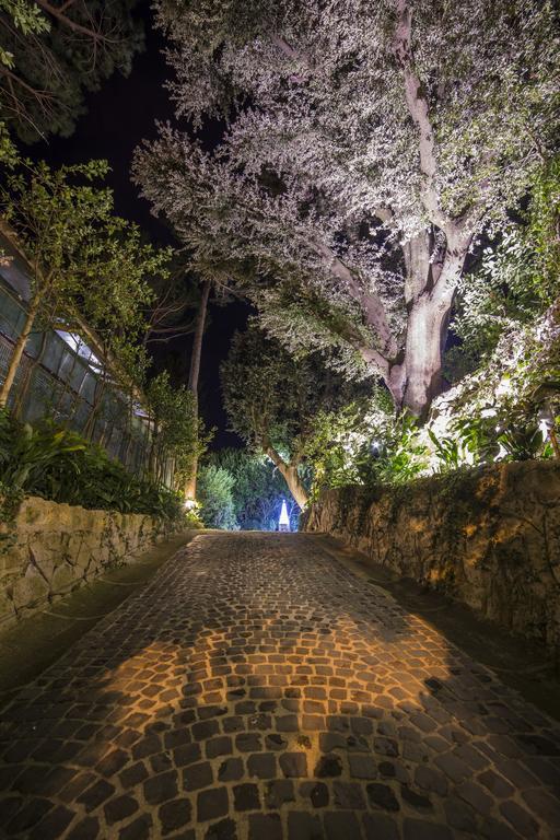 La Canonica Dei Fiori - Anna Fendi Country House Otel Ronciglione  Dış mekan fotoğraf